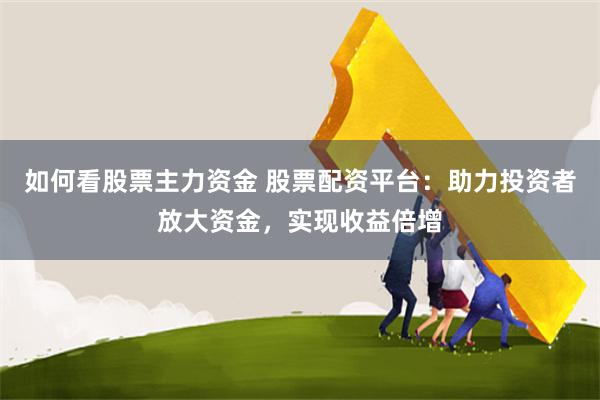 如何看股票主力资金 股票配资平台：助力投资者放大资金，实现收益倍增